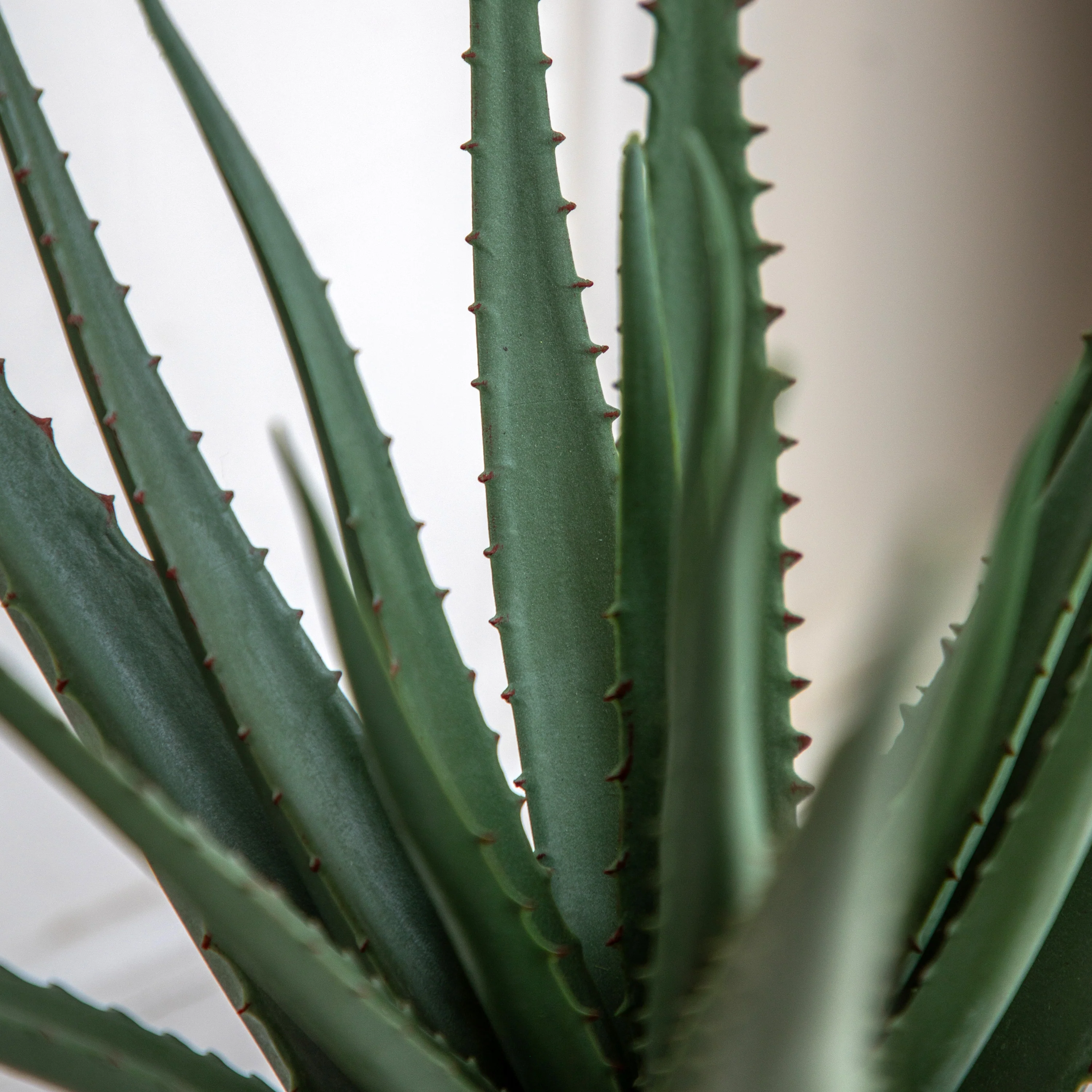 Faux aloe vera pot - Image 3