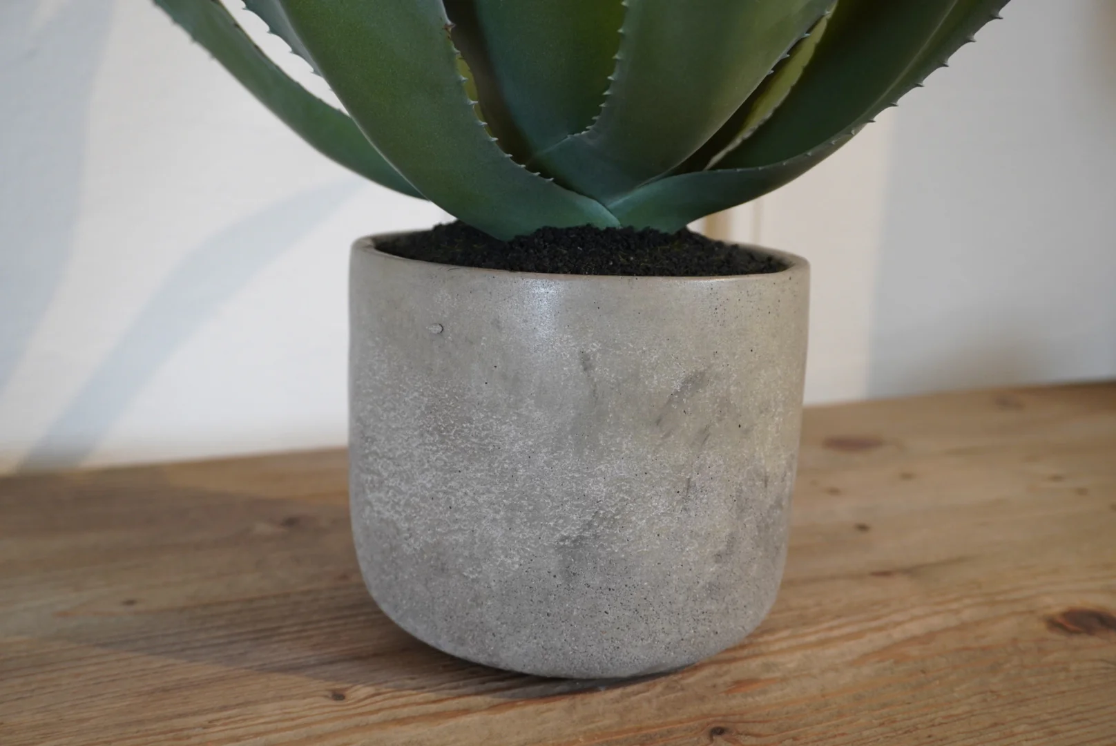 Green Aloe Vera Plant in Clay Pot - Image 4