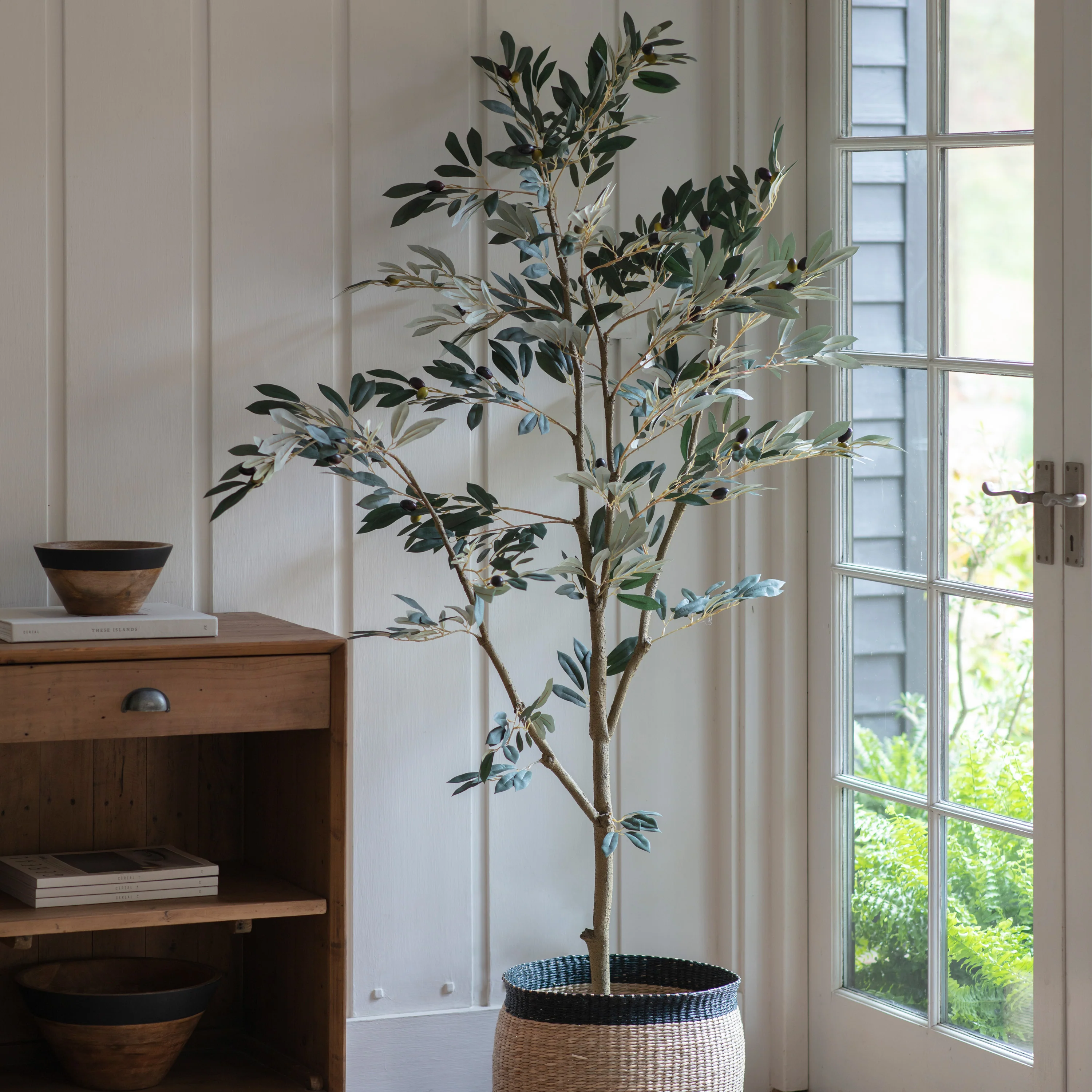 Olive Large Tree