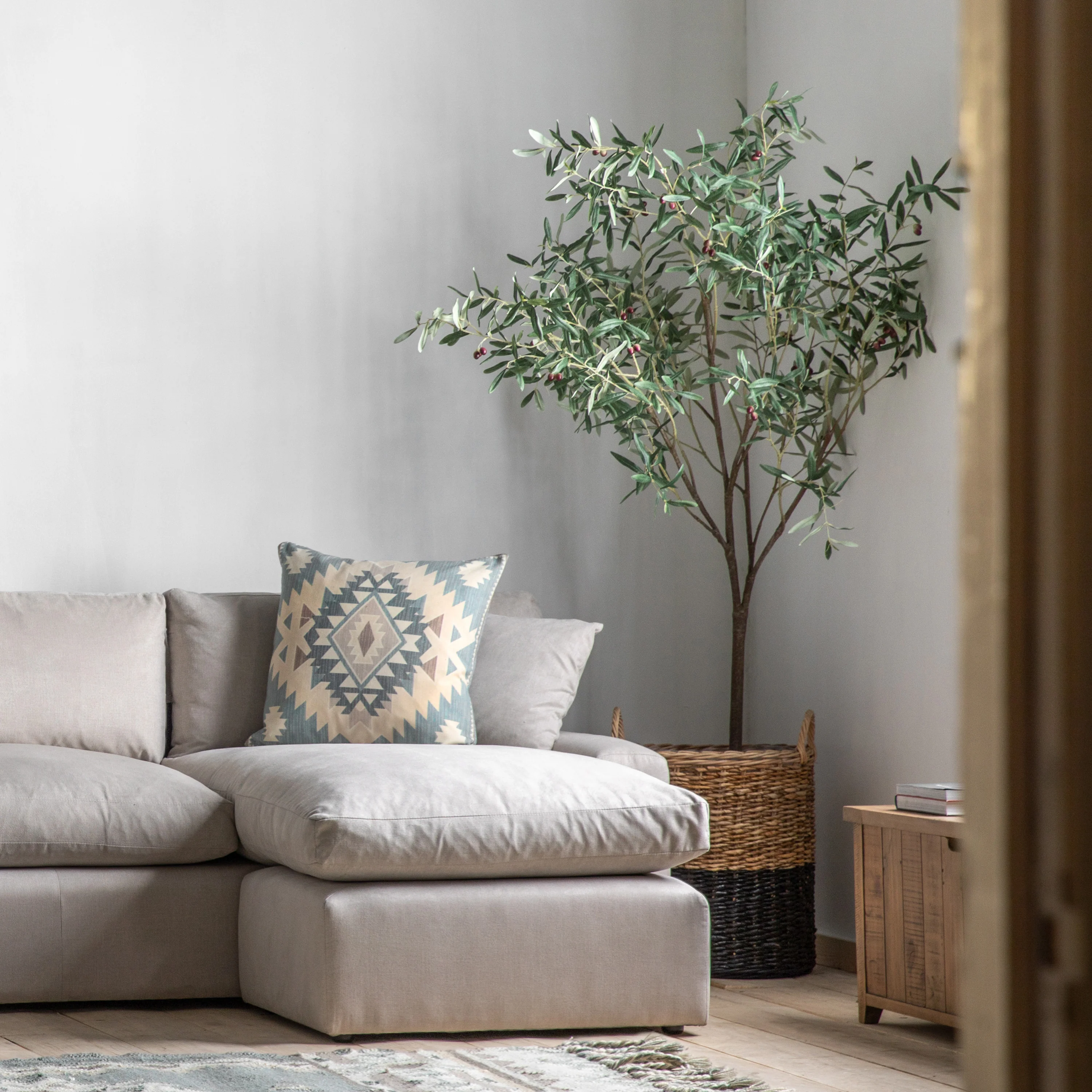 Olive Tree Green