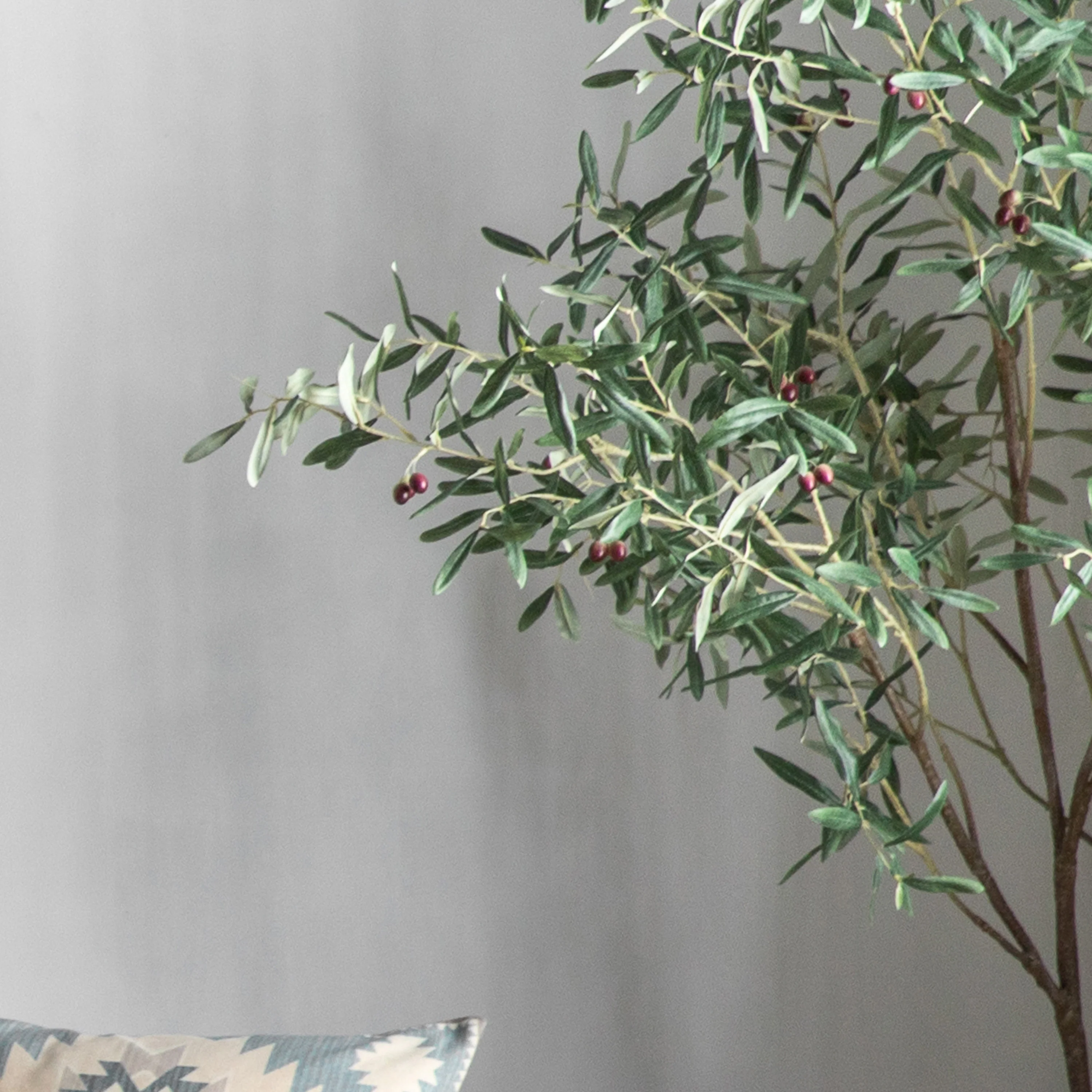 Olive Tree Green - Image 2